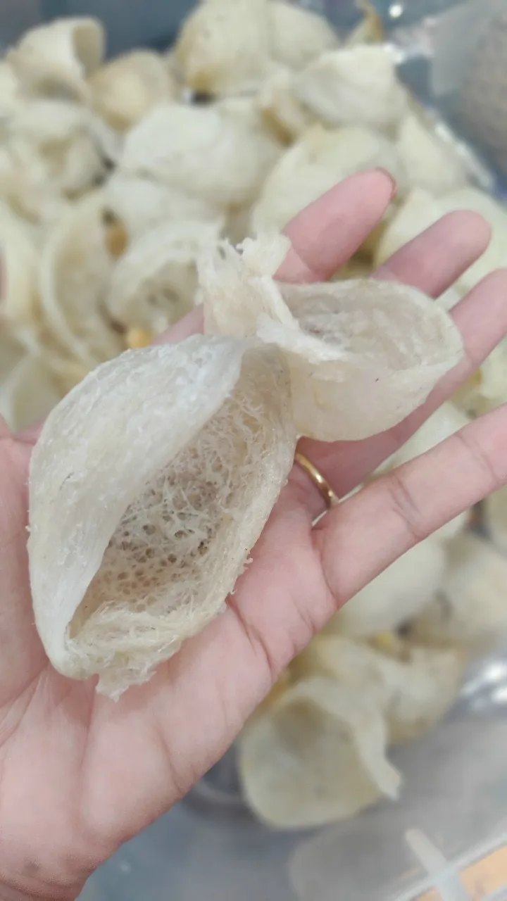 Vietnam Best Supplier Raw Refined Bird Nest 100% Pure Broken Nest Good for Health contact us for good price