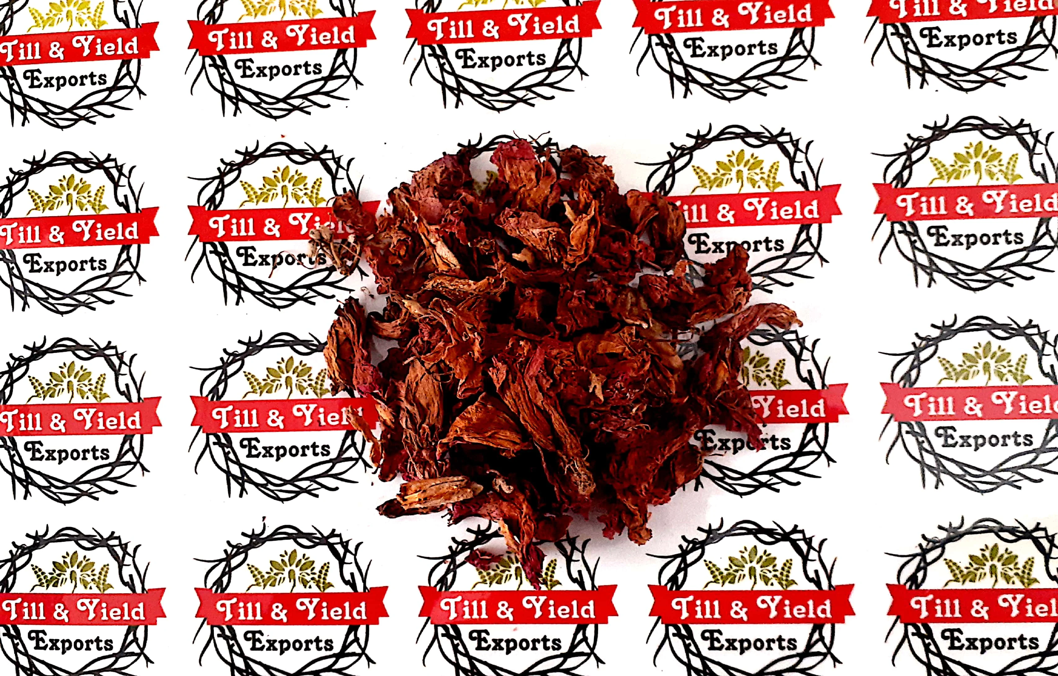 Factory Supply Dried Hibiscus Flower - Indian Origin Premium Quality Hibiscus Rosa sinensis