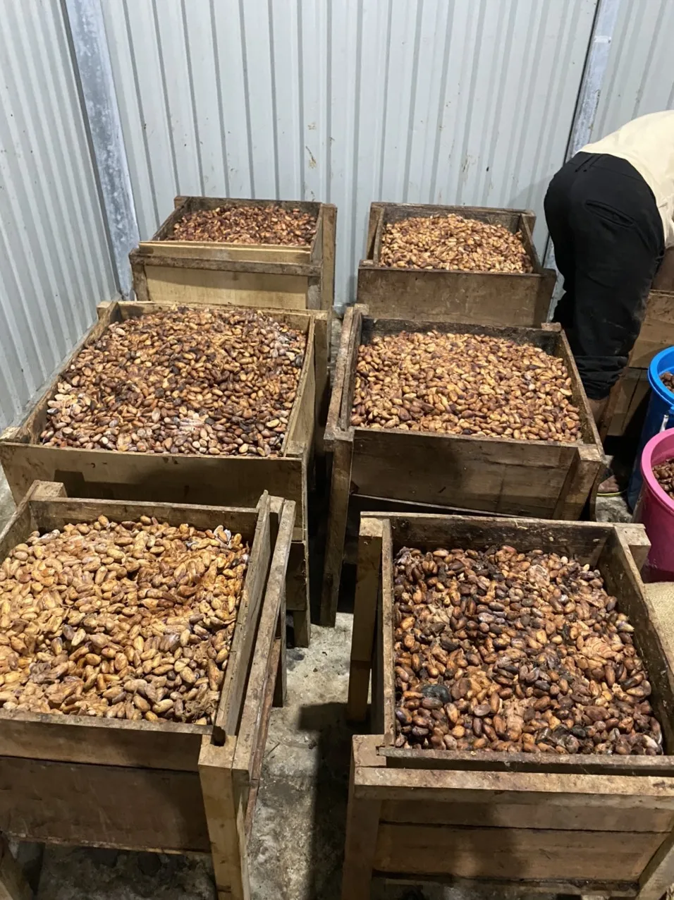 Какао-порошок высокого качества. WhatsApp/Skype/тел. + 84 976727907 г. Кэролайн