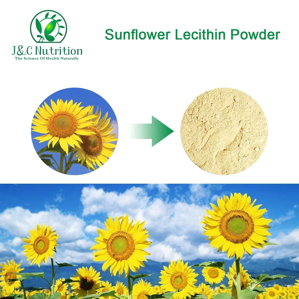 100% Natural Bulk Supplements 100% Sunflower Lecithin Powder, CAS 8002-43-5