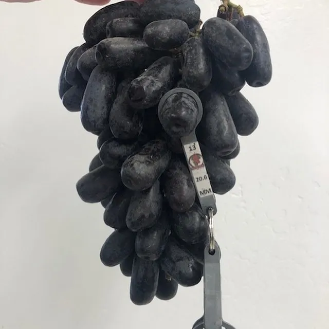 
Hot Sell Fresh Sweet Shine Muscat Green Grape 