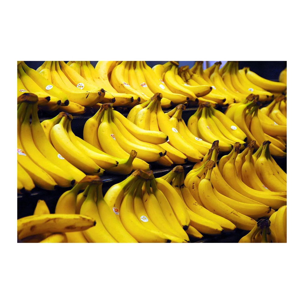 
Fresh Cavendish bananas in bulk for sale, banana 