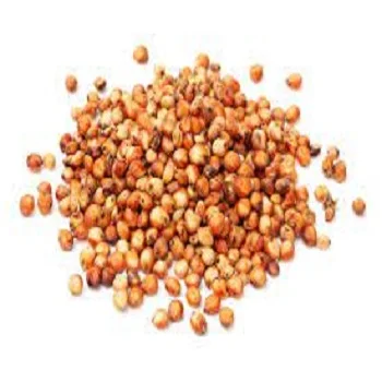 Indian Manufacturer of Top selling product Of 2022 Grain Sorghum Bulk Red and White Sorghum at Affordable Price