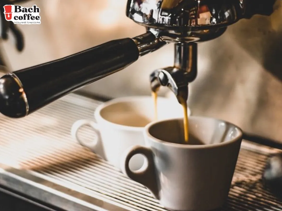  Натуральный кофе Арабика ручной работы для гурманов Эспрессо-среднее темное Обжарка жареные-Низкая кислотность аромат шоколадных орехов цельная фасоль