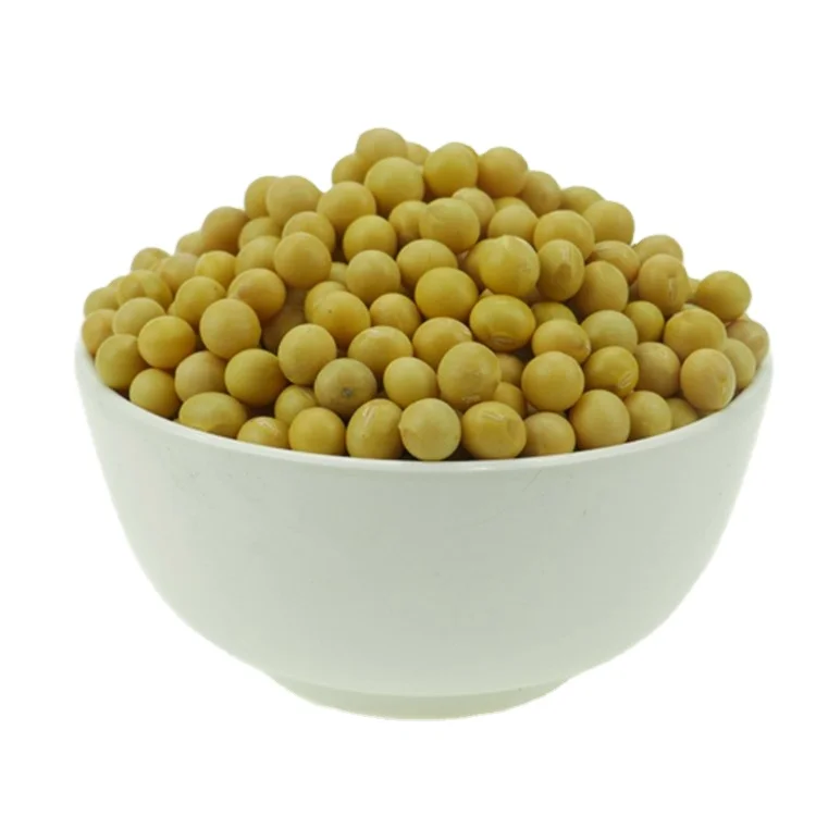 Buy Bulk GMO and Non GMO Soyabean / Soybean for Sale