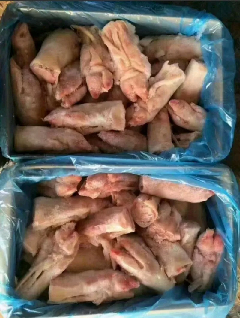 Frozen pork feet meat and all other body parts for sale