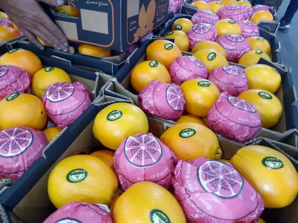 Fresh orange fruit price