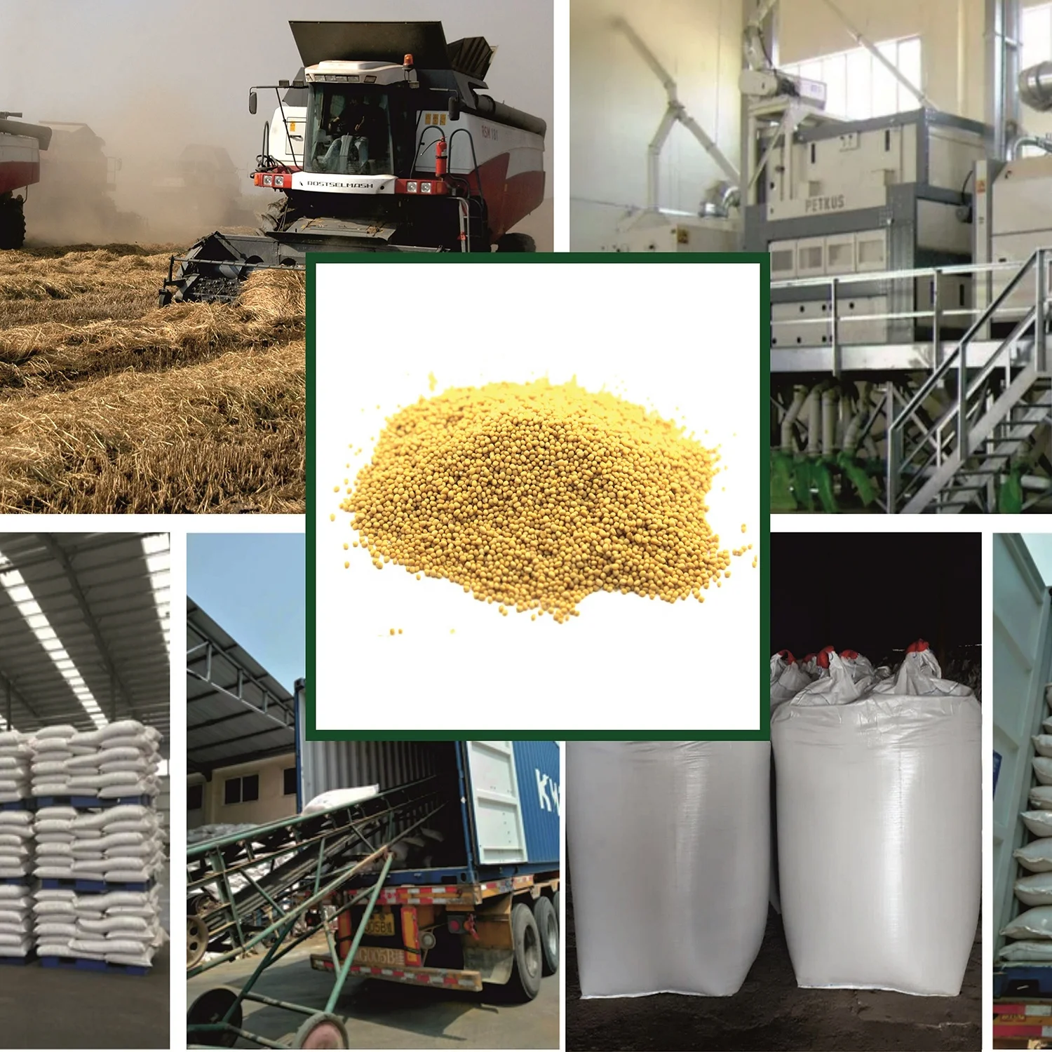 
Hiqh quality yellow mustard seeds pre-packed or in bulk, product of Russia 