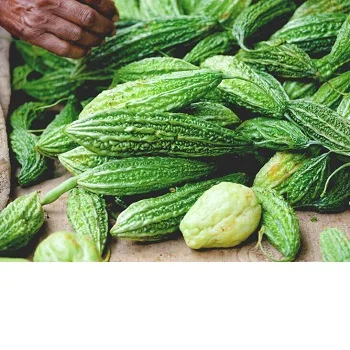 
Garlic Powder Bitter Melon Flavored CHIP WHOLE Bitter Melon 