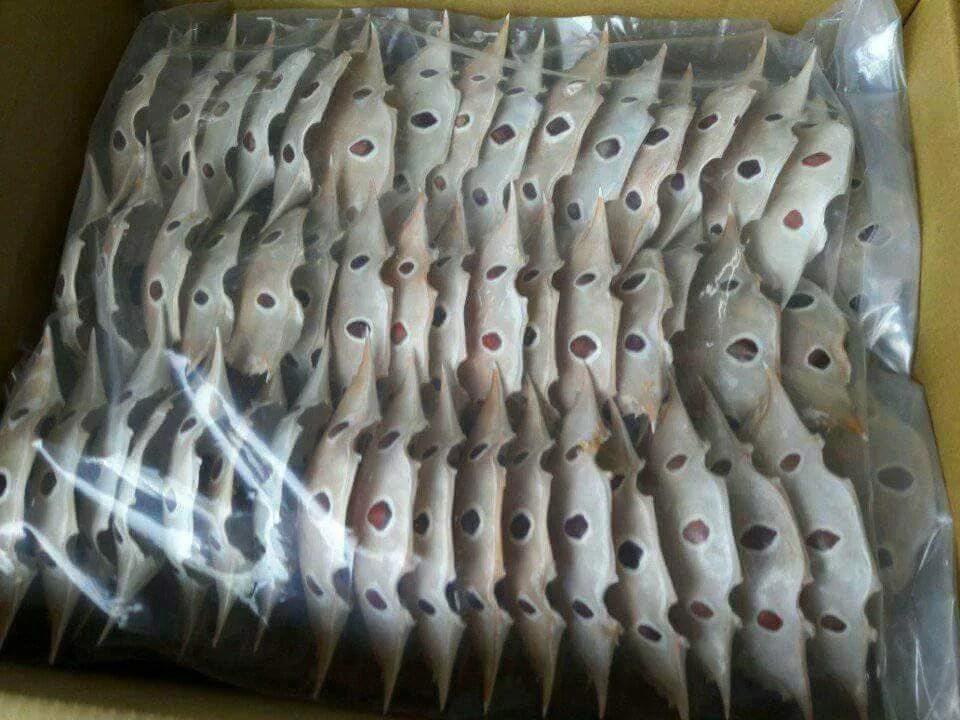 DRIED CRAB SHELL FOR FOOD STUFFED - RESTAURANT - CARTERER CRAB SHELL