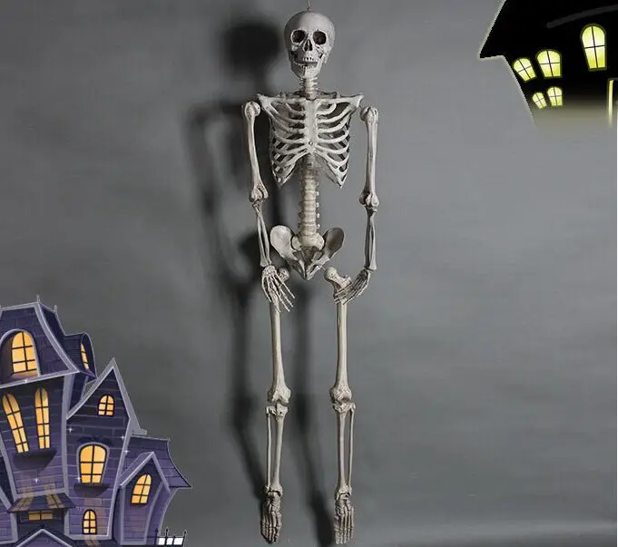 165cm realistic plastic skeleton halloween-decor Halloween props halloween skeleton