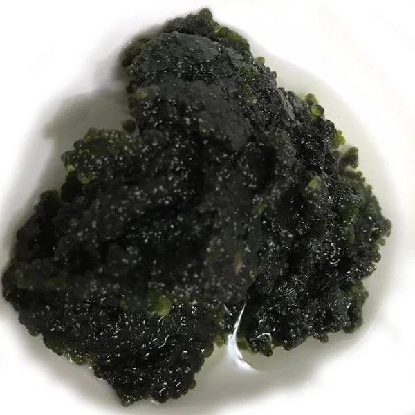 
Salted seagrapes from Vietnam 