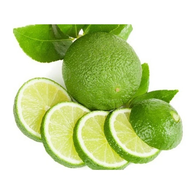 Seedless Lime from Vietnam Cheap Price FRESH SEEDLESS Wholesale GREEN LEMON Raw Origin Fresh Citrus Fruit