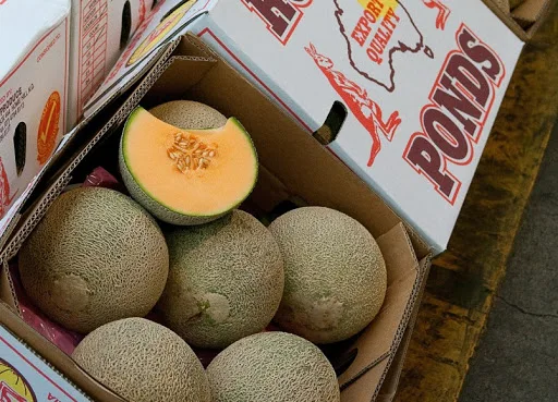 Melon is a fruit rich in nutrients has sweet taste very popular and been exported to EU US ASIA other markets.