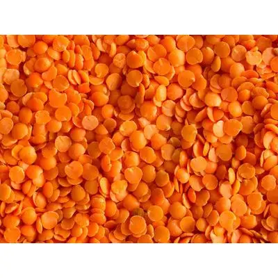 Red, Yellow and Brown Lentils For Sale