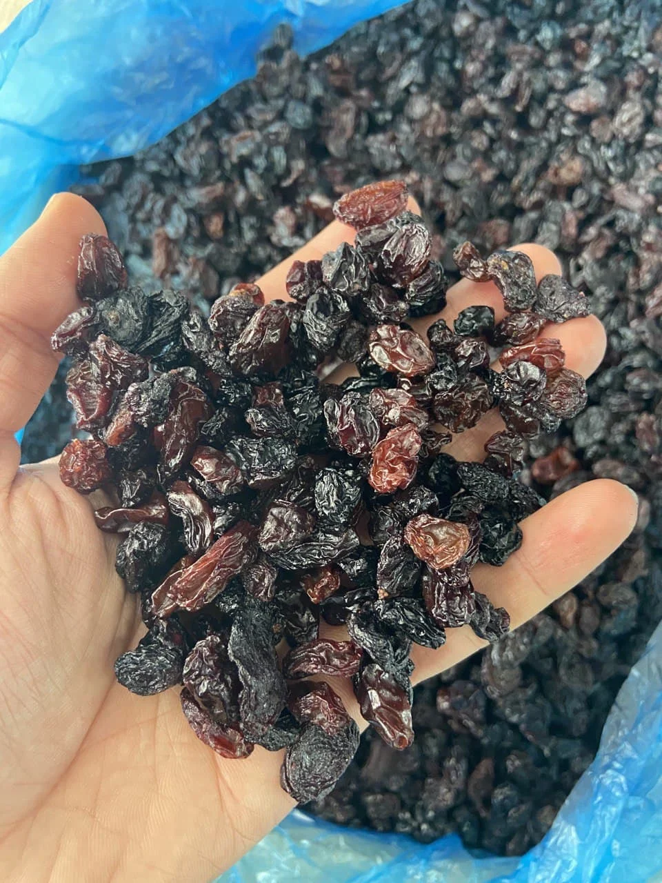 Wholesale crop 2021 October good quality from Uzbekistan bags 25 kg  organic dried fruits thompson raisins