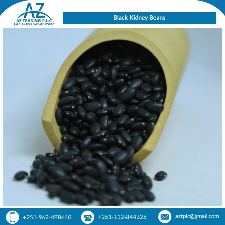 Hot Selling Good Quality 0.5% Spilt Bulk Supply Ethiopian Black Kidney Beans