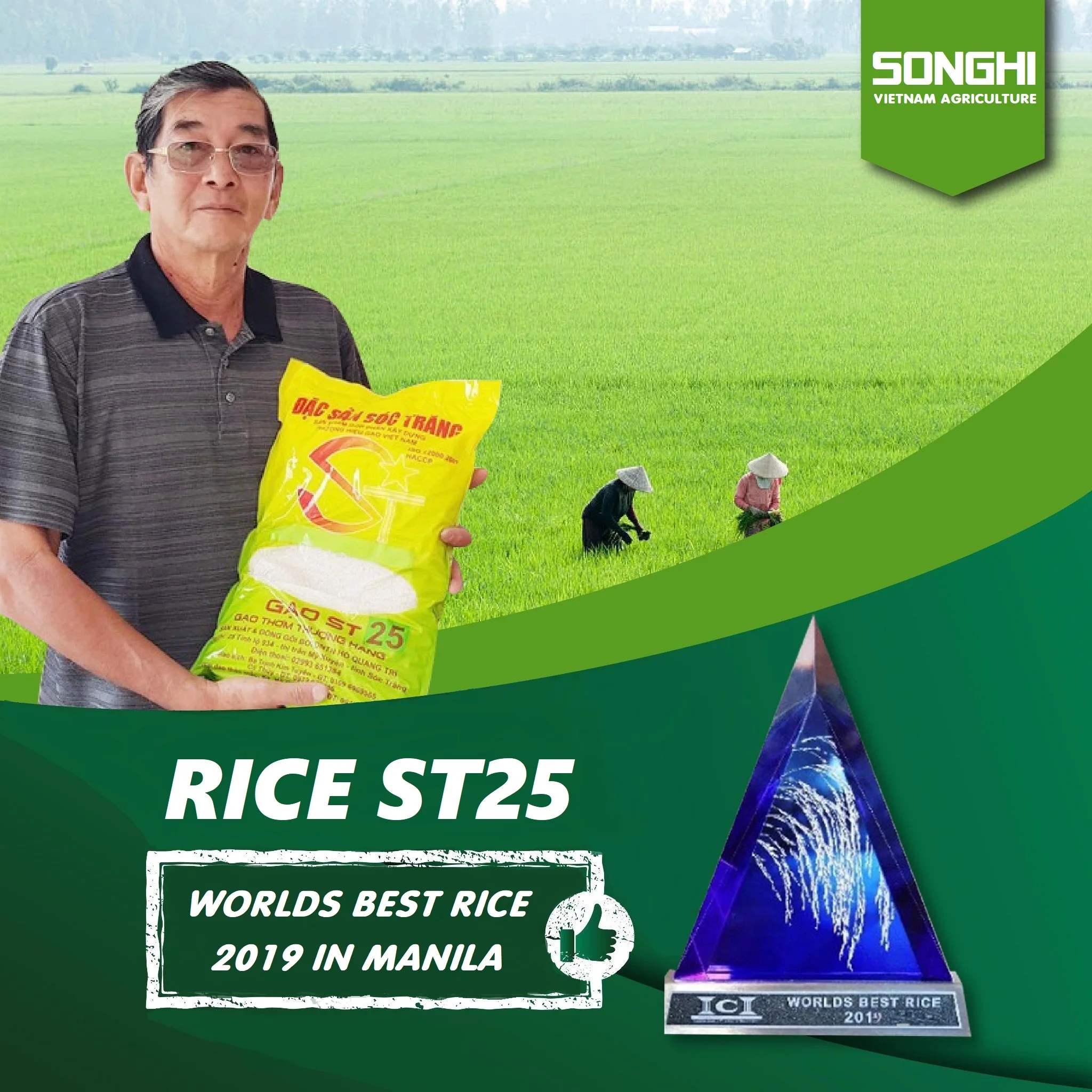 
Asian Rice / Best Rice awarded / White rice from Vietnam for wholesale (ST25) 