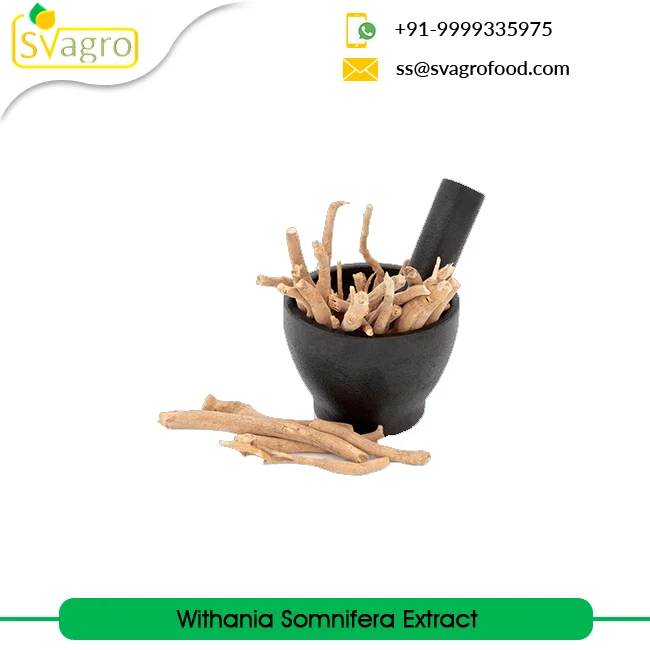 Withania Somnifera Extract Ashwagandha Extract at Wholesale Price Manufacturing Herbal Extract from India Root Powder Food 25 Kg