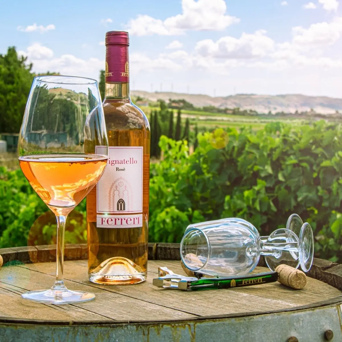 Rose Wine High Quality Italian FERRERI Table Restaurants Wine Shops Grapes Pignatello Bottle 750ml Packaging Alcohol Grade Weigh