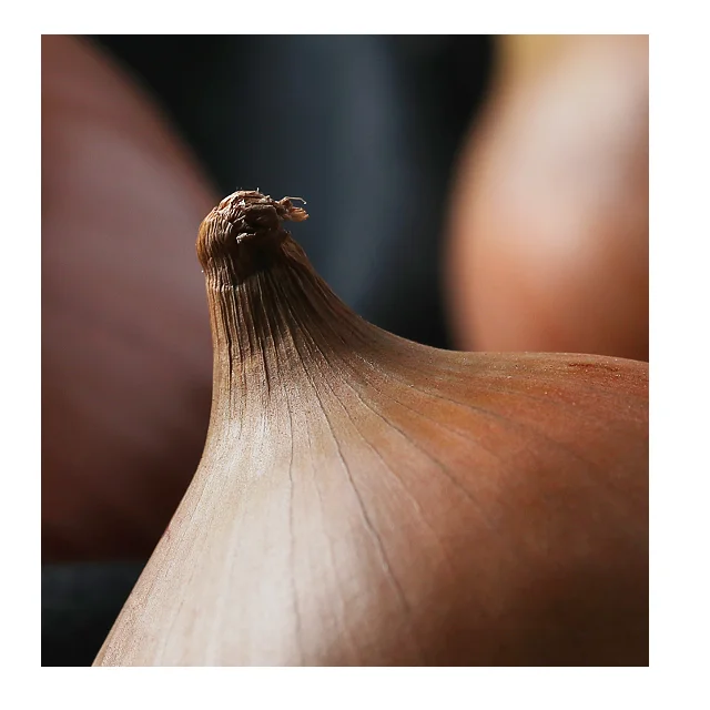 100% органический и свежий лук в индивидуальной упаковке по низкой цене