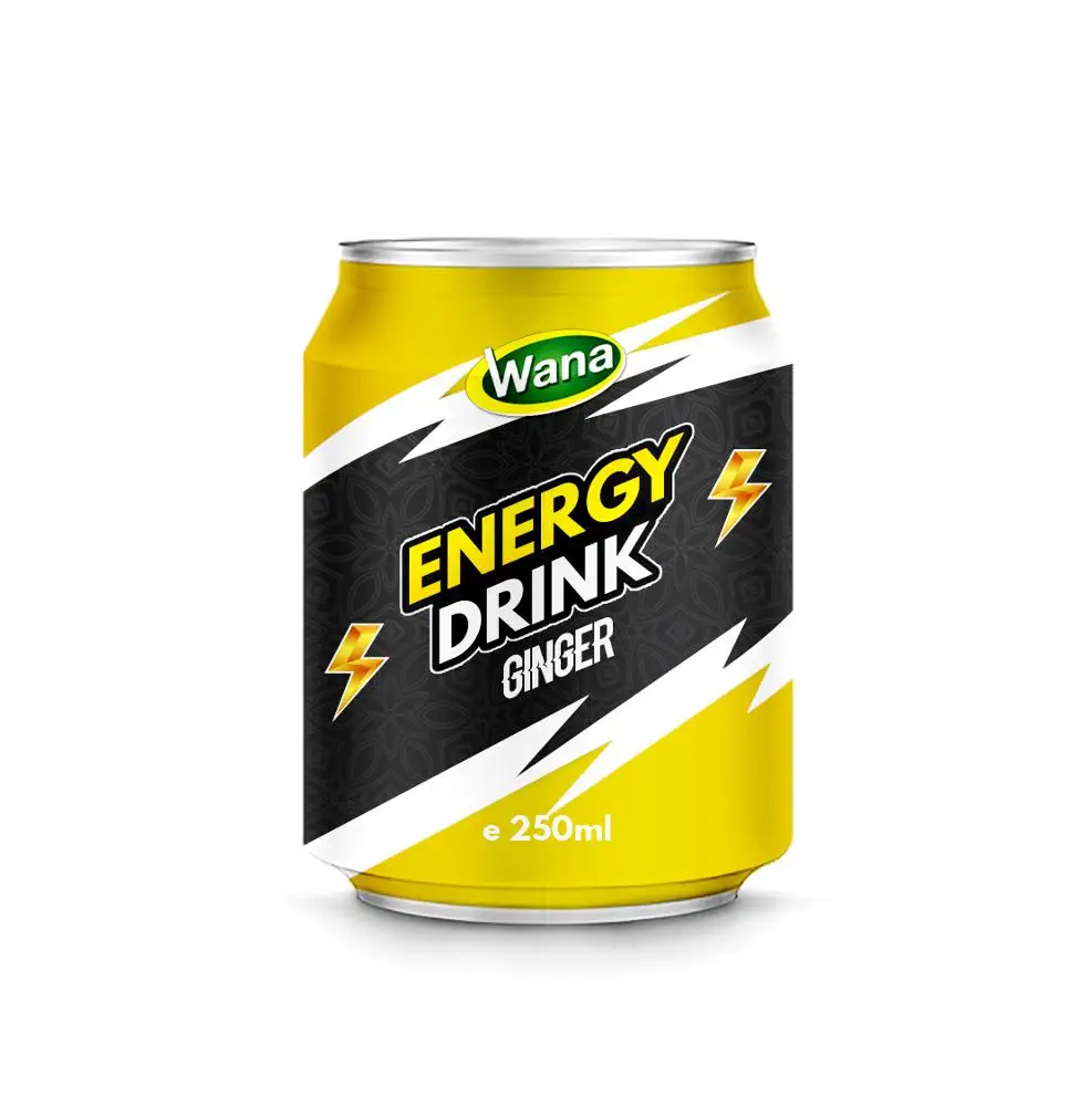 250ml Canned  Energy Drink With Pomegranate Juice