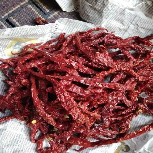 Indian Guntur Chilli exporter