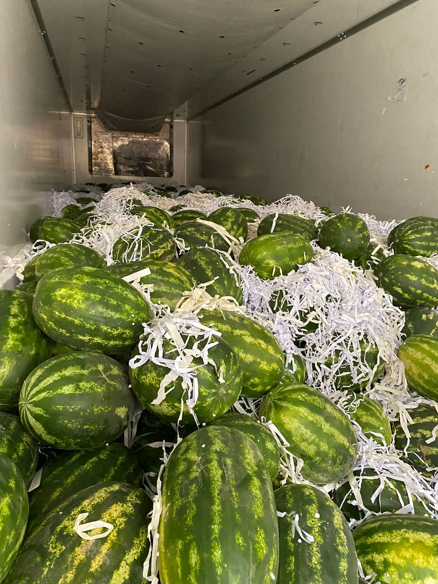 WHOLESALE TURKISH TOP QUALITY SWEET JUICY WATERMELON