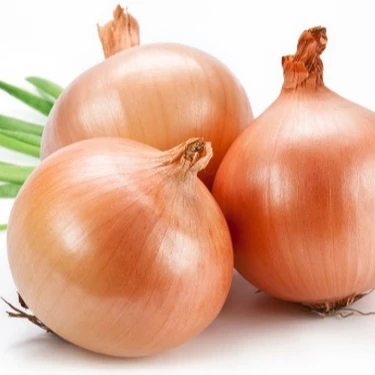 FRESH ONION - Best Price from Vietnam