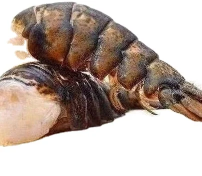 High Quality Seafood Fresh Water Whole Frozen Crawfish/Lobster