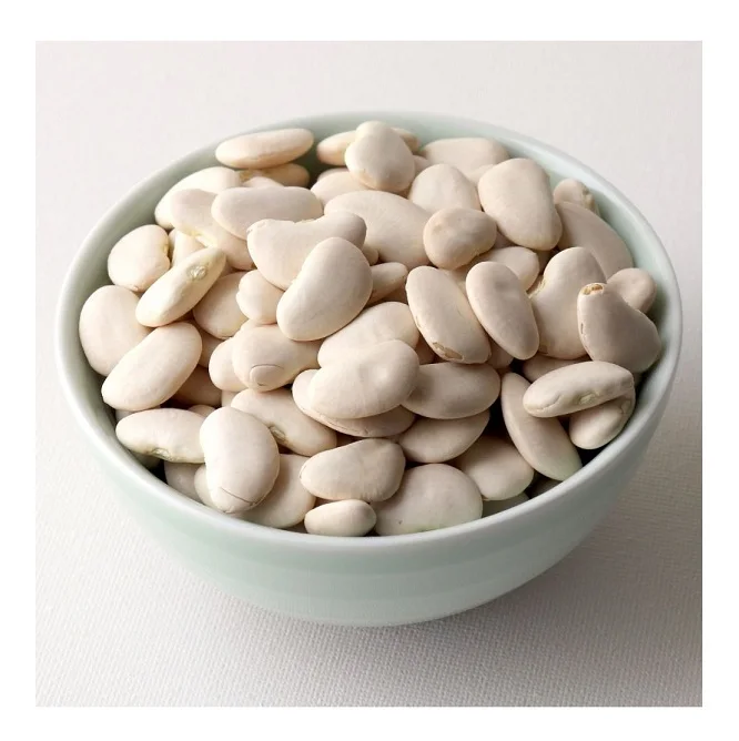 
High Quality Large Lima Beans Available For Sale 