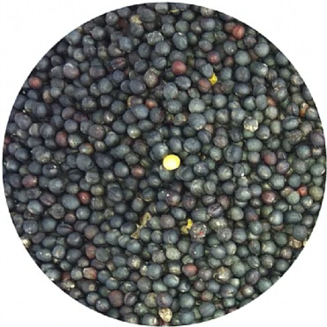 
100% Quality Bag Packaging Canola Seeds Non-GMO Natural Organic Rape Seed Healthy rapeseed canola seeds 