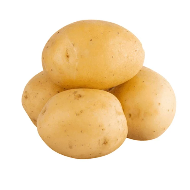 
100% Exportable Finest Quality Big Size Fresh Potatoes Wholesale Price From Bangladesh 
