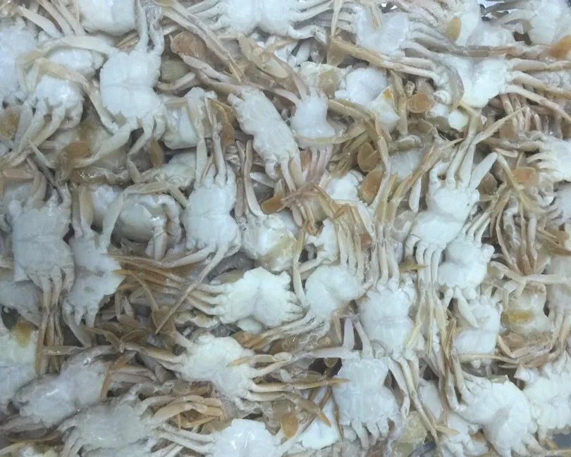 
HIGH QUALITY - FROZEN BABY CRAB 