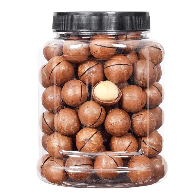 Macadamia Nuts Raw Salted Roasted Maca Nuts Healthy Food Macadamia in Shell