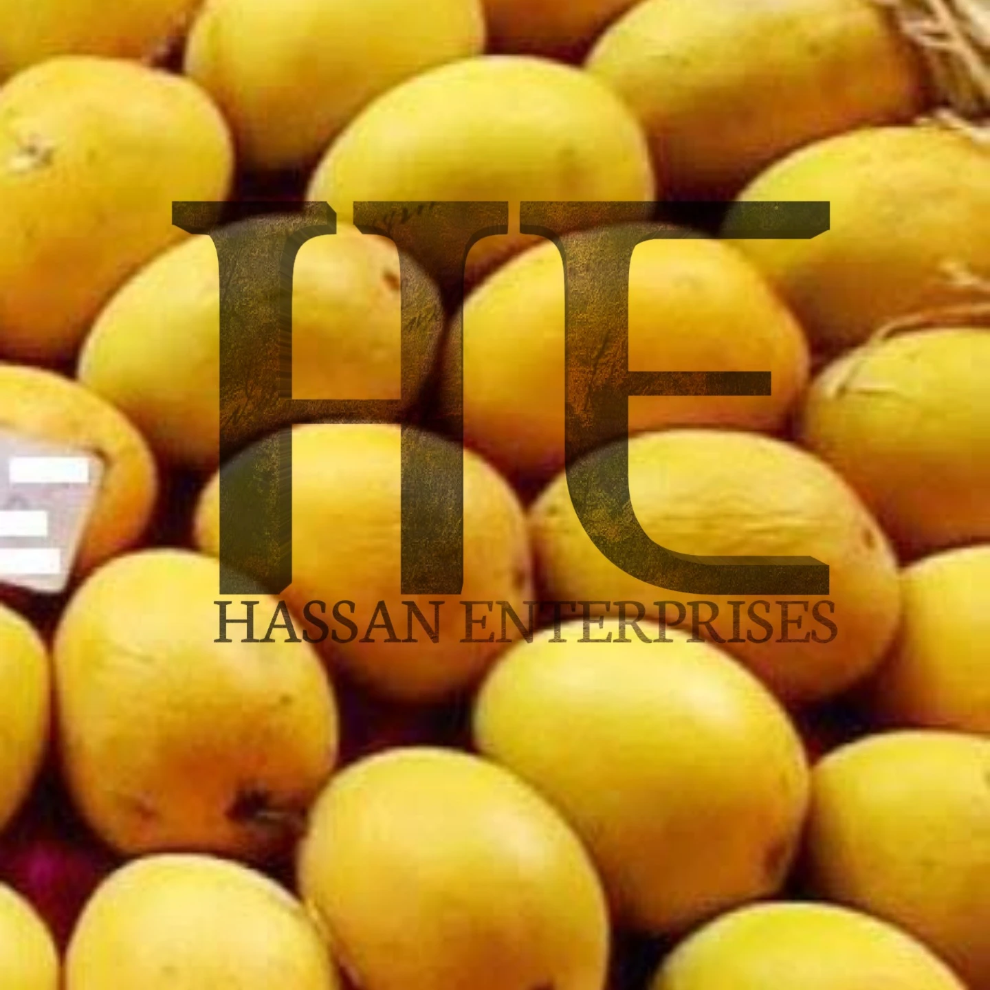Mango Pakistani Sindhri Chaunsa Ready Export (Really Fresh)