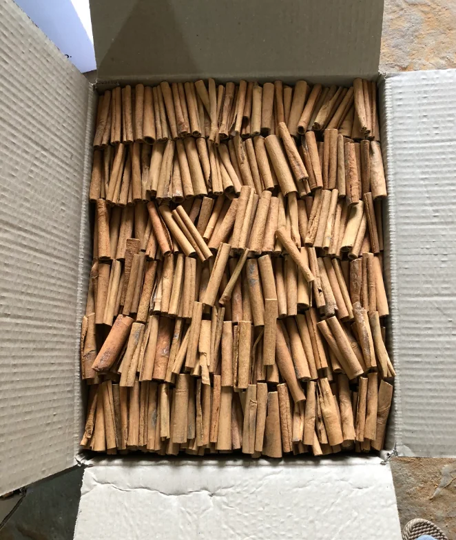 Perfect quality Cigarette Cinnamon Vietnam  new season