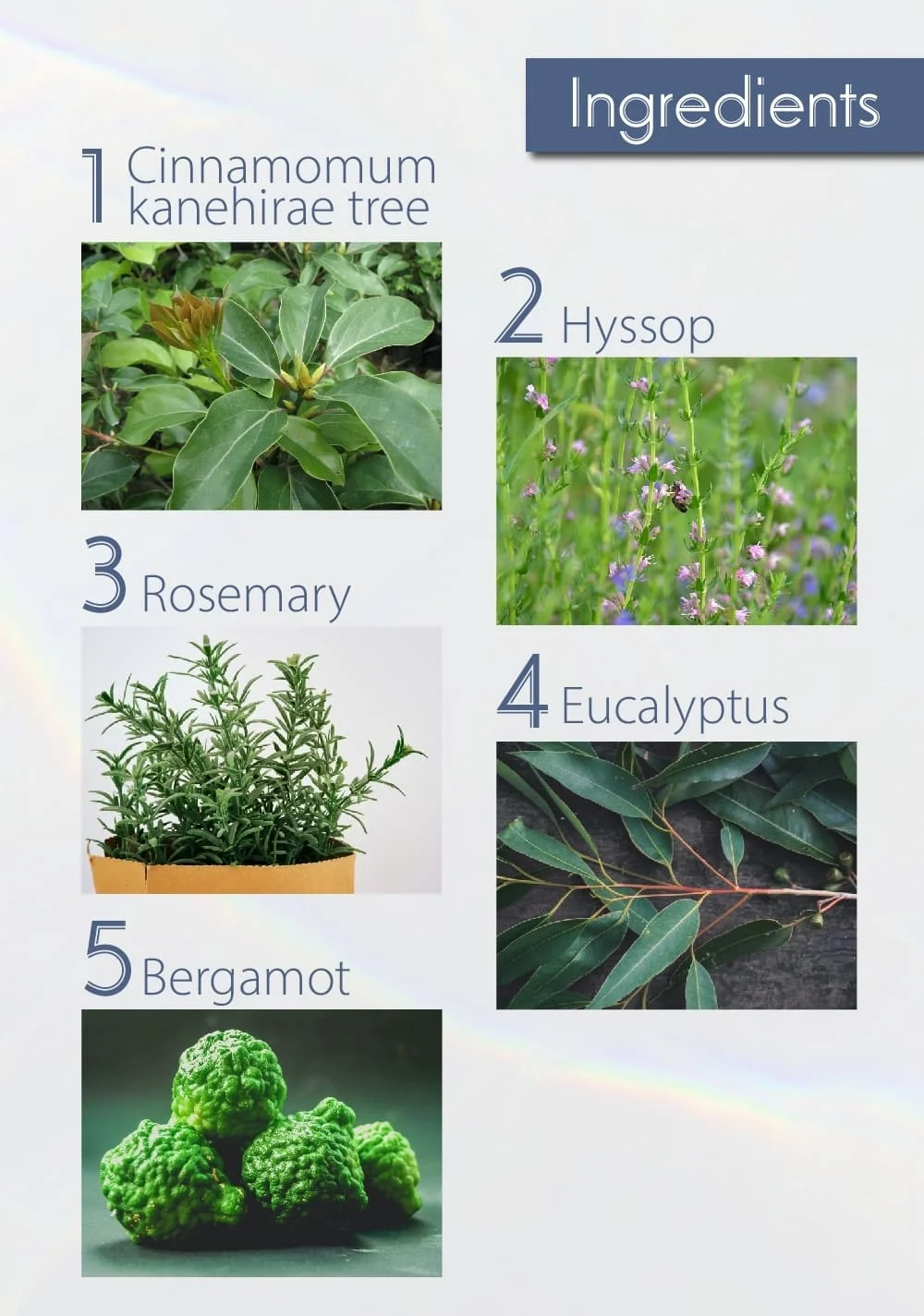 essential oil for Relieve Stress And Improve Spirit & Perfect with a diffuser