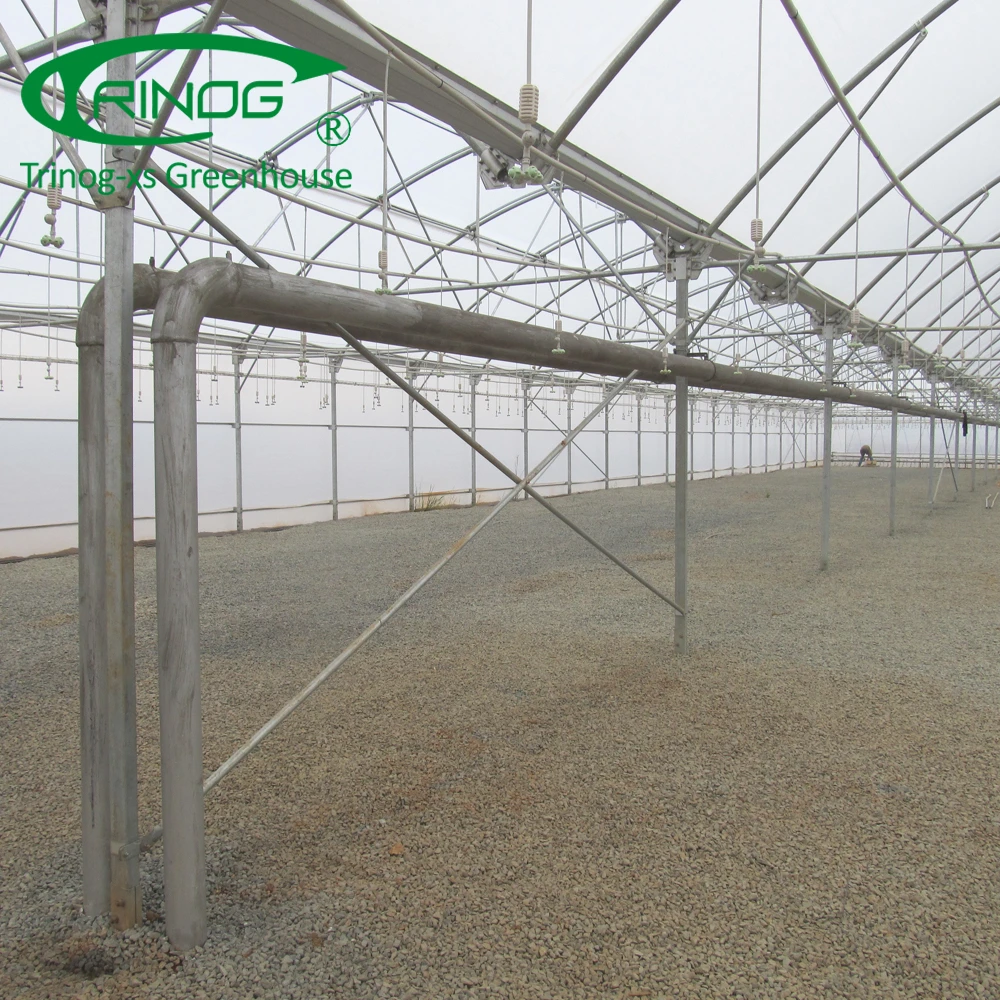 Industrial Commercial Low Cost Multispan UV greenhouse plastic film for sale