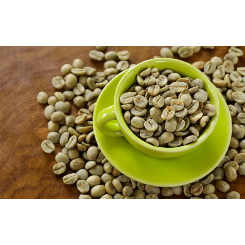 Best quality Green Coffee Beans SANTOS NY2/3 SC.14/16 Arabica ready to export