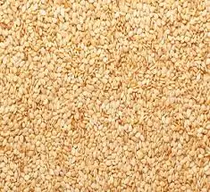 
Golden Sesame Seeds Egypt 2020 