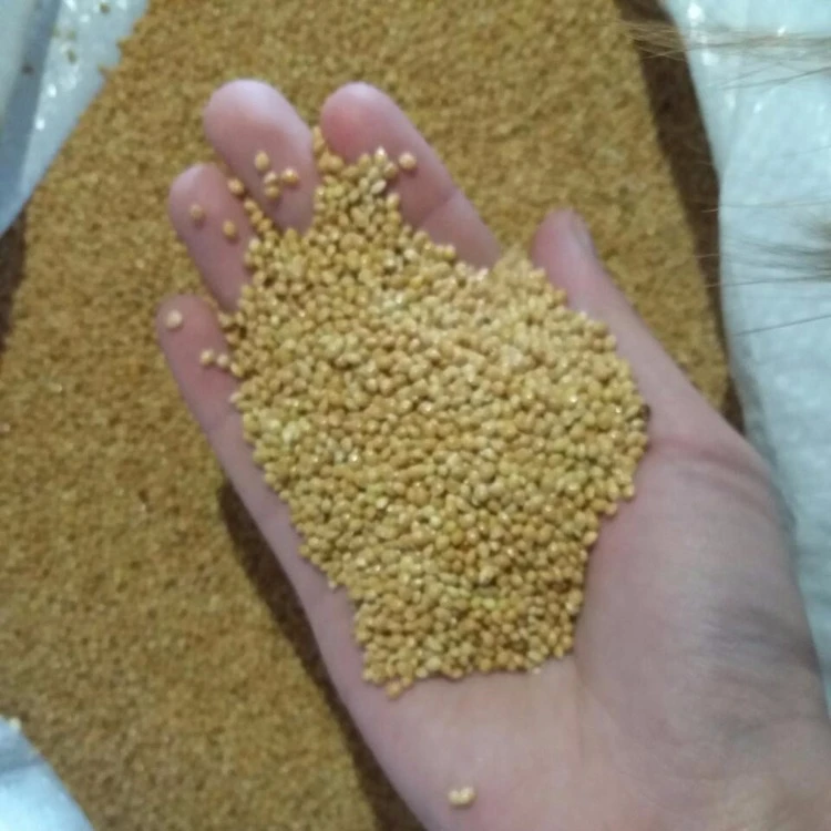 Bulk Grain Variety Millet Baryard Little Finger Foxtail Kodo Jowar pearl