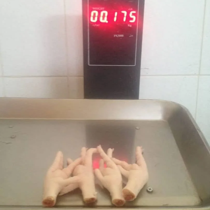 
Chicken feet chicken frozen chicken paw with the best price 2021 