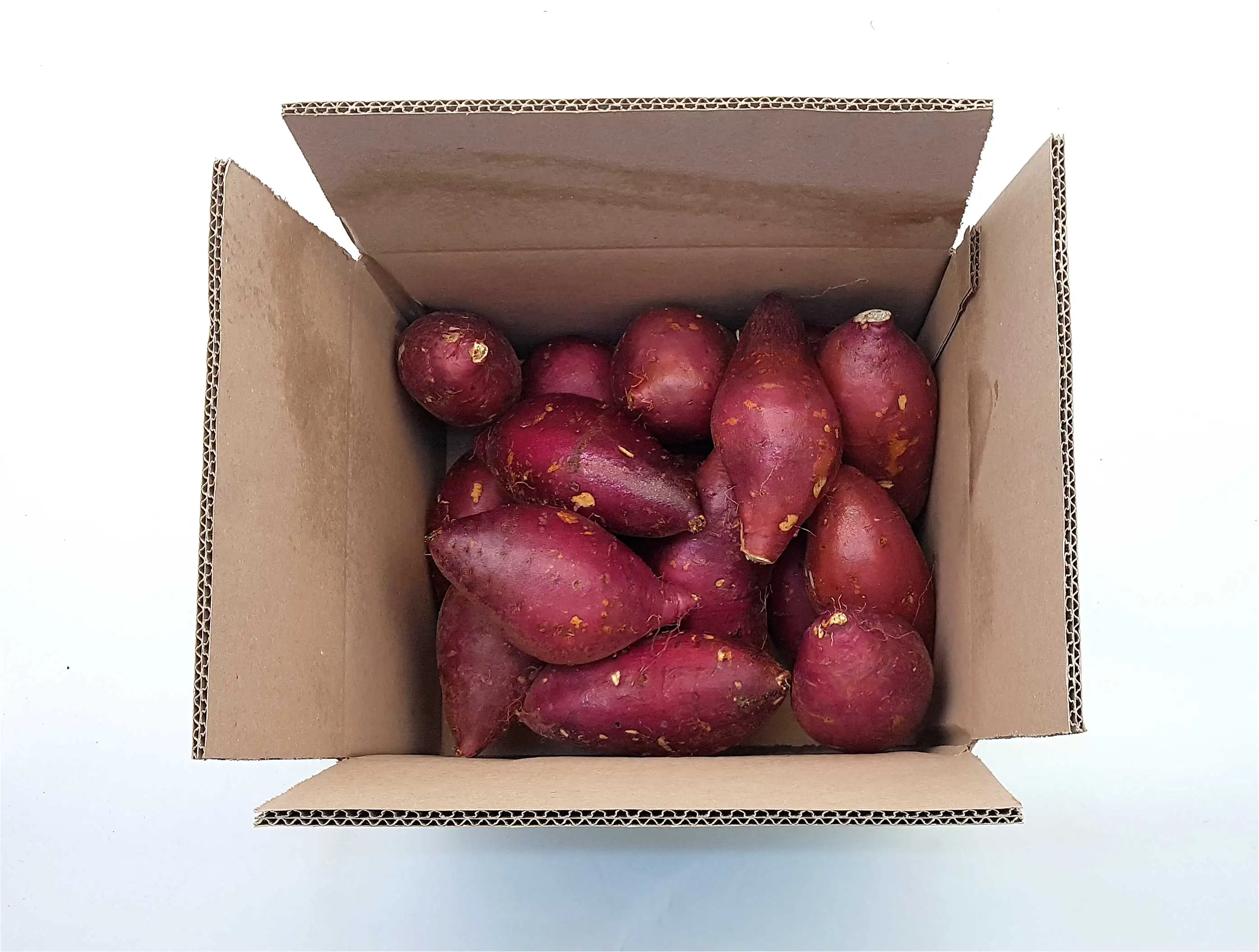 Korean Honey Sweet Potato