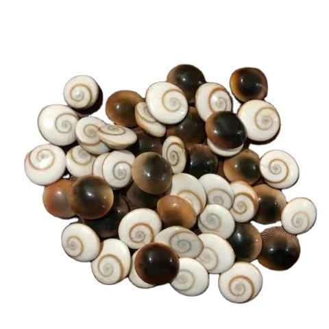 
Лидер продаж, натуральный камень в виде ракушки для глаз Шива для изготовления ювелирных изделий, свободные камни с кабошоном свободного размера 