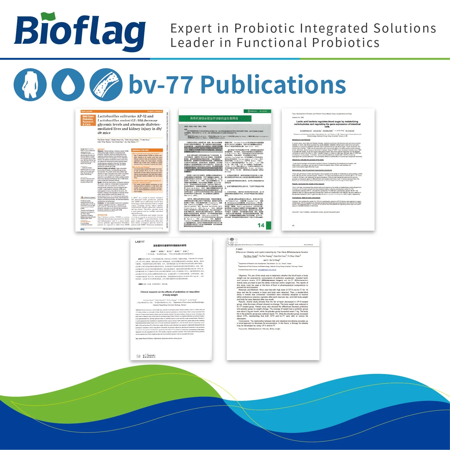 weight loss and cardiovascular disease prevention  probiotics Lactobacillus rhamnosus bv-77