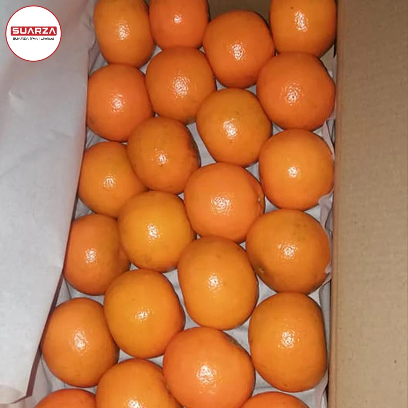 buying in bulk wholesale mandarin kinnow
