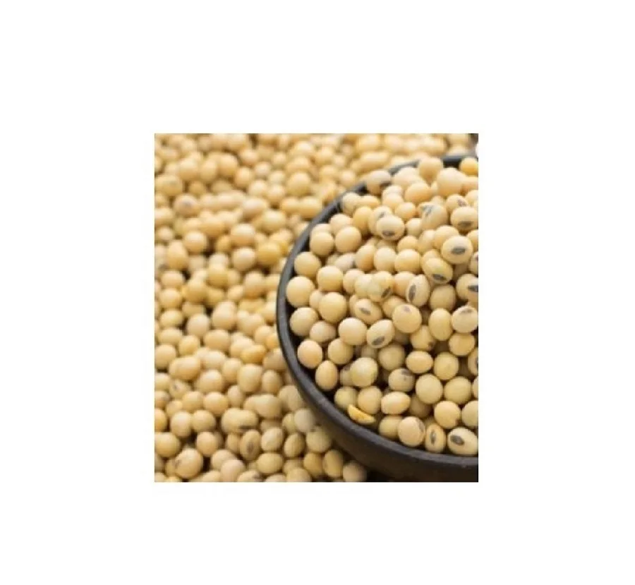 High Quality Fresh SOYBEAN High Quality Ready to Ship Made in USA High Quality Fresh Soyabean wholesale NON GMO