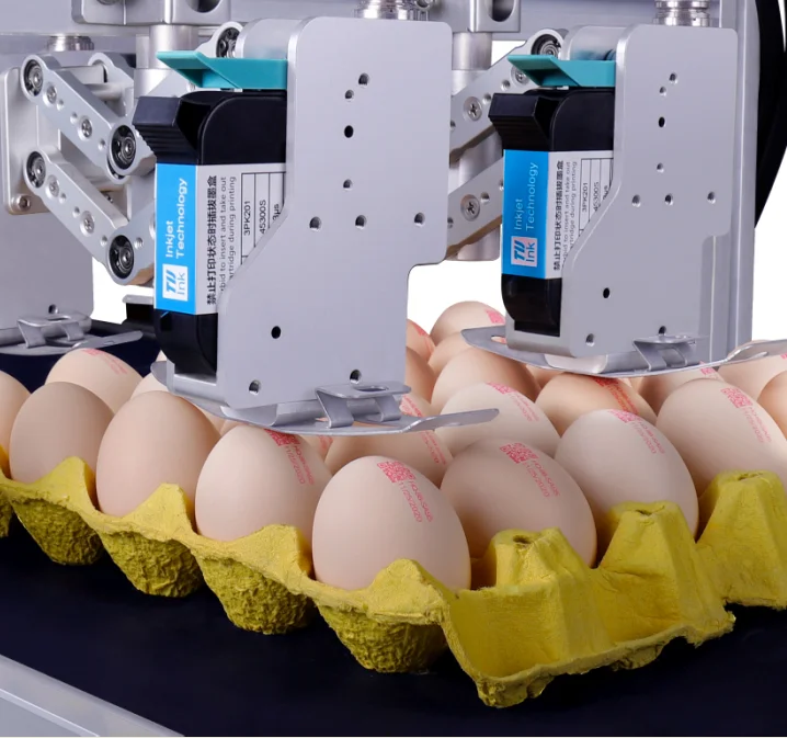 DOCOD T600-EY6S 76.20mm Online EGG inkjet printer( 6-Heads, encrypted version) Thermal inkjet printer TIJ printer