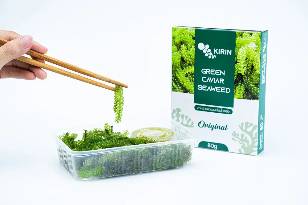 
100% Organic Fresh Seasoned Sea Grape Green Caviar with Shelf Life 9 months and Weight 80g from Thailand 